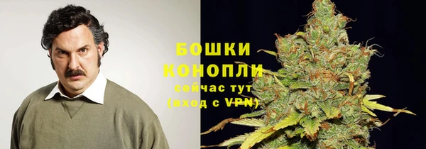spice Ельня