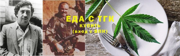 spice Ельня