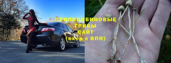 хмурый Елабуга