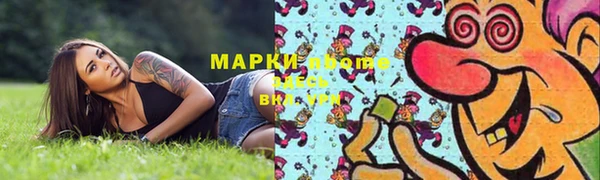 хмурый Елабуга