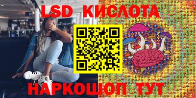 мдпв Новозыбков