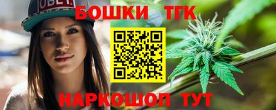 мдпв Новозыбков