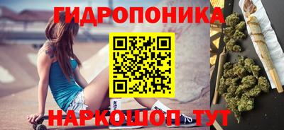 МДПВ Новодвинск