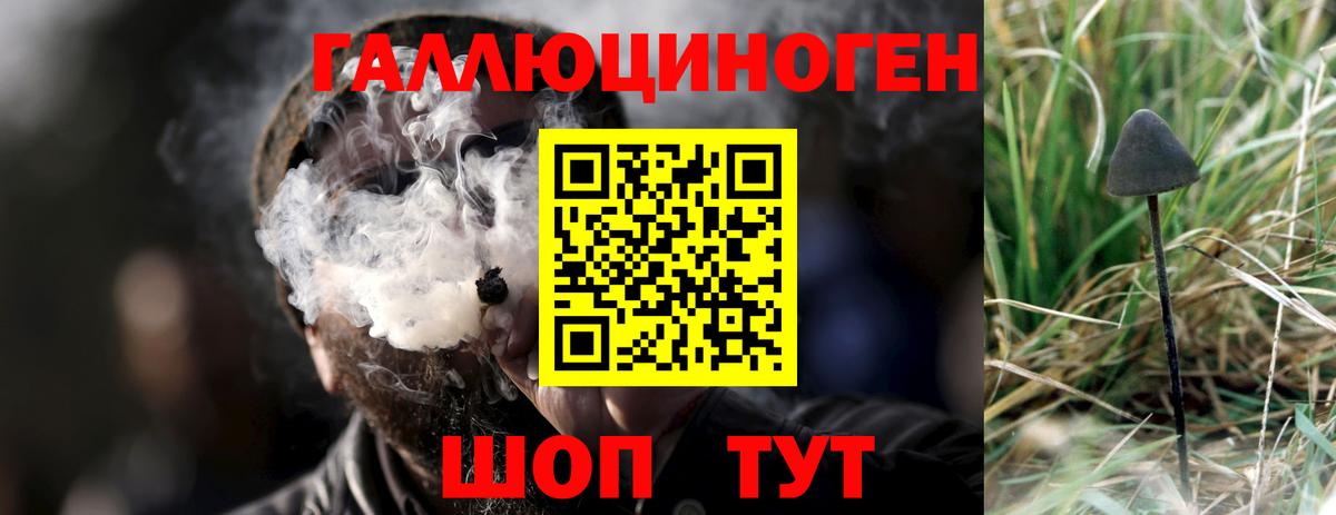 Галлюциногенные грибы мицелий Острогожск