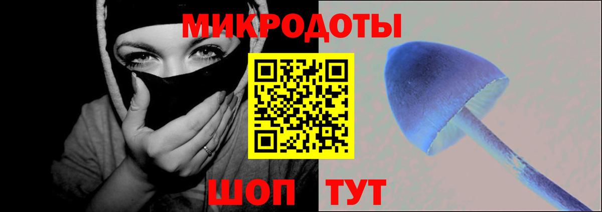 Псилоцибиновые грибы Cubensis Острогожск